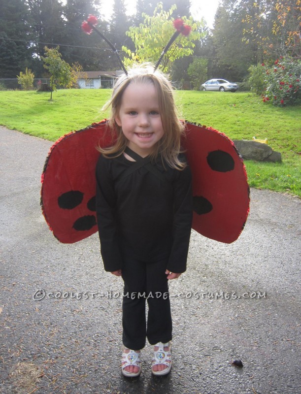 Cool Homemade Insect Costumes Butterfly and Ladybug