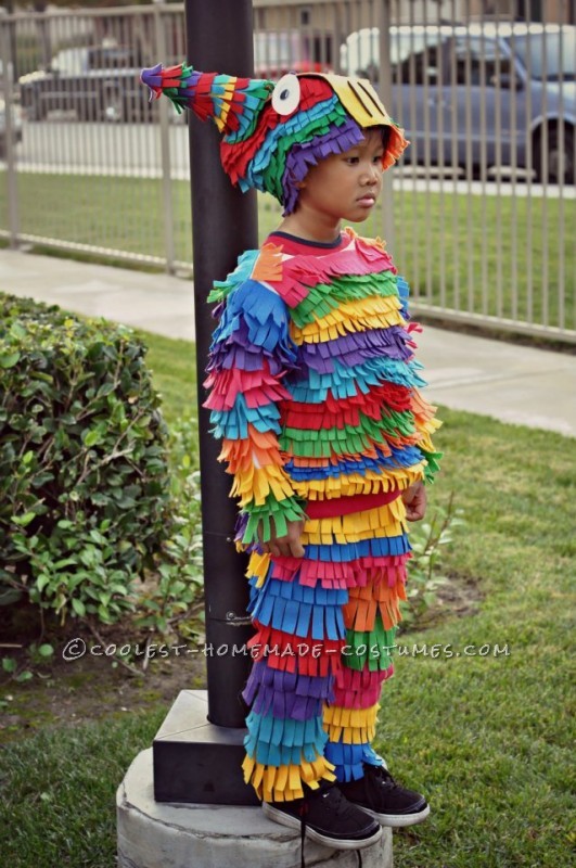 Most Awesome Homemade Pinata Costume Ever 0179