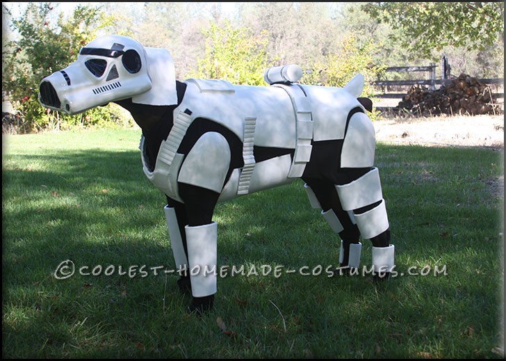 stormtrooper pet costume