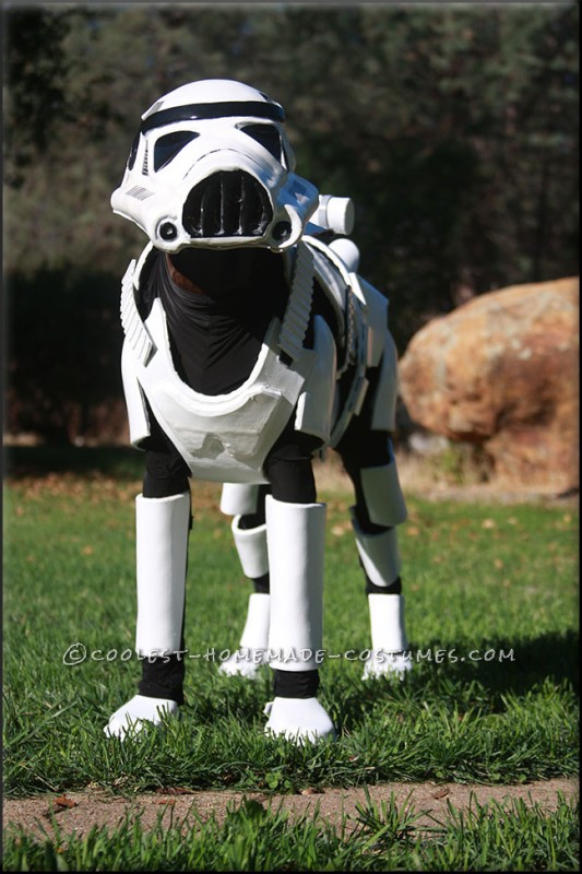 star wars dog costume stormtrooper