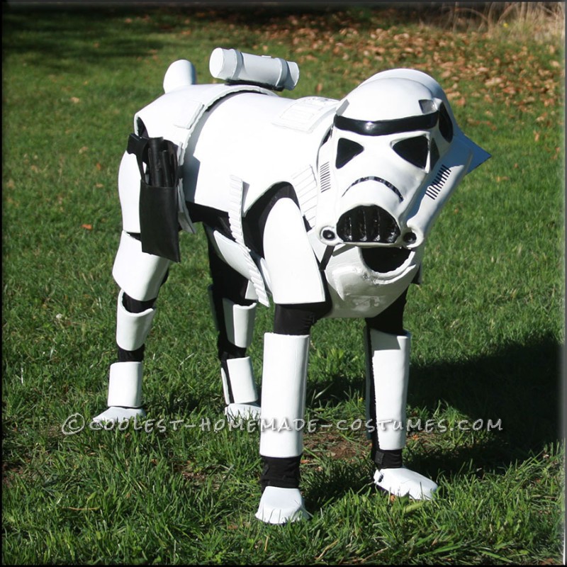 stormtrooper pet costume