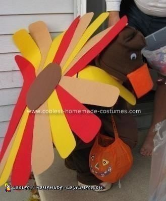 Homemade Thanksgiving Costumes