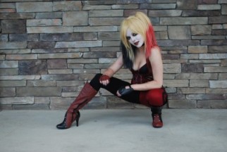 Awesome Homemade Harley Quinn Halloween Costume