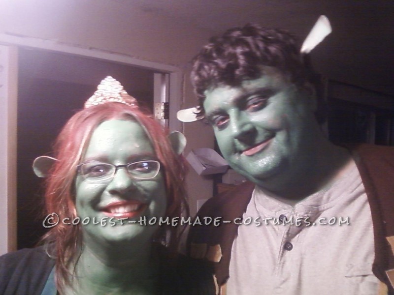 Cool Shrek and Fiona Couple Costume