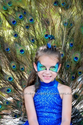 Amazon.com: Starline womens Peacock adult sized costumes, Blue/Green, Large  US : Clothing, Shoes & Jewelry