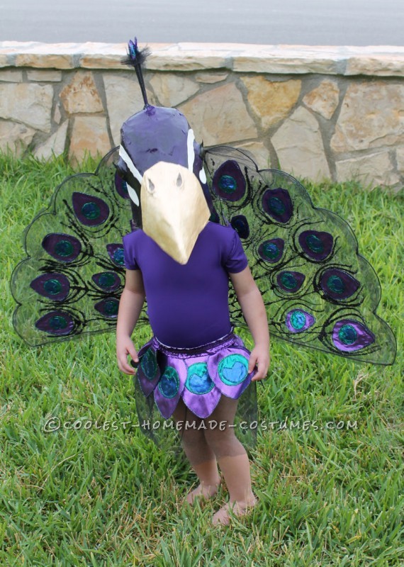 Top 10 Stunning Homemade Peacock Costumes To Inspire Your Diy Costumes 9345