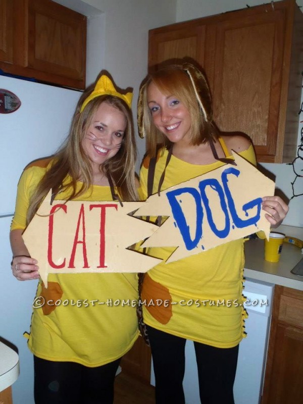 Cheap and Easy Catdog Couple Halloween Costume