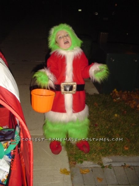 The Grinch that Stole Halloween Costume Idea for a Child