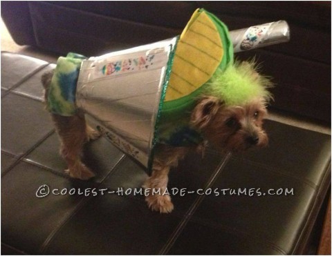 Dog Cone of Shame Costumes: Photos