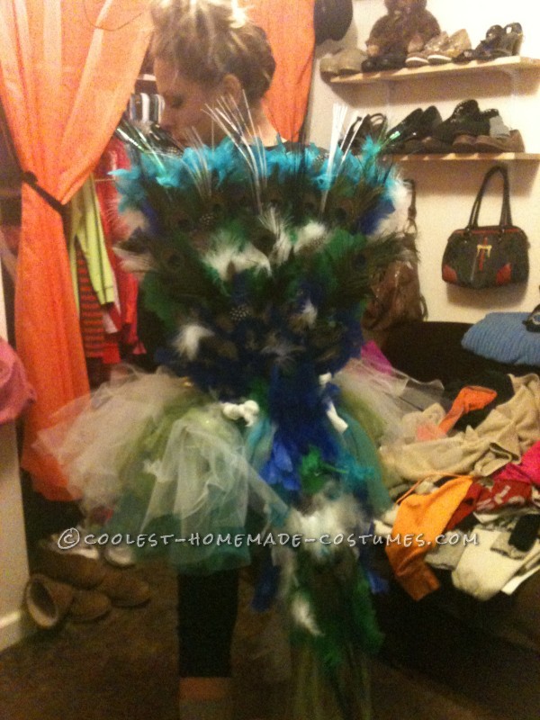 Homemade Peacock Costume With A Creative Twist 0976