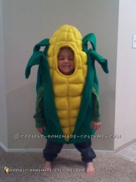 Coolest Ever DIY Homemade Costumes for Kids, Adults & Pets in 2024