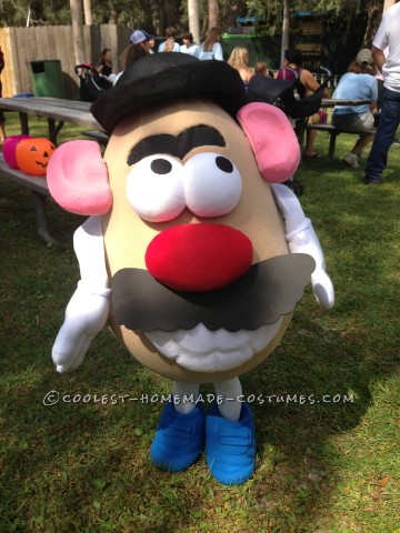 mr potato head costume