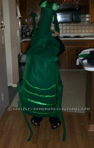 Cool Praying Mantis Costume