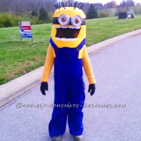 100+ Hilarious Homemade Despicable Me and Minions Costumes