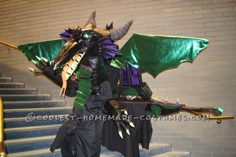 Dramatic Dragon Group Costume