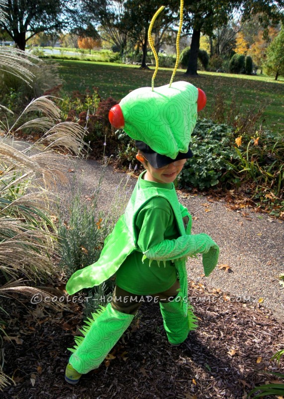 Fabulous and Original Homemade Praying Mantis Costume