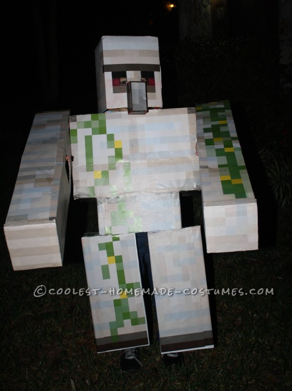 coolest homemade minecraft costumes