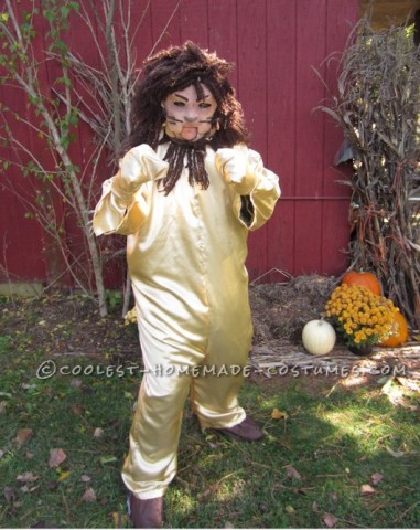 Original Homemade Layer by Layer Wizard of Oz Costume (Lion, Scarecrow ...
