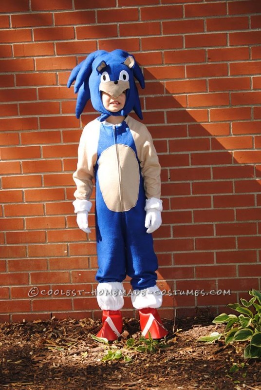 Cool Homemade Sonic the Hedgehogn Costume