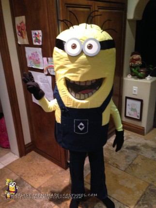 100+ Hilarious Homemade Despicable Me and Minions Costumes