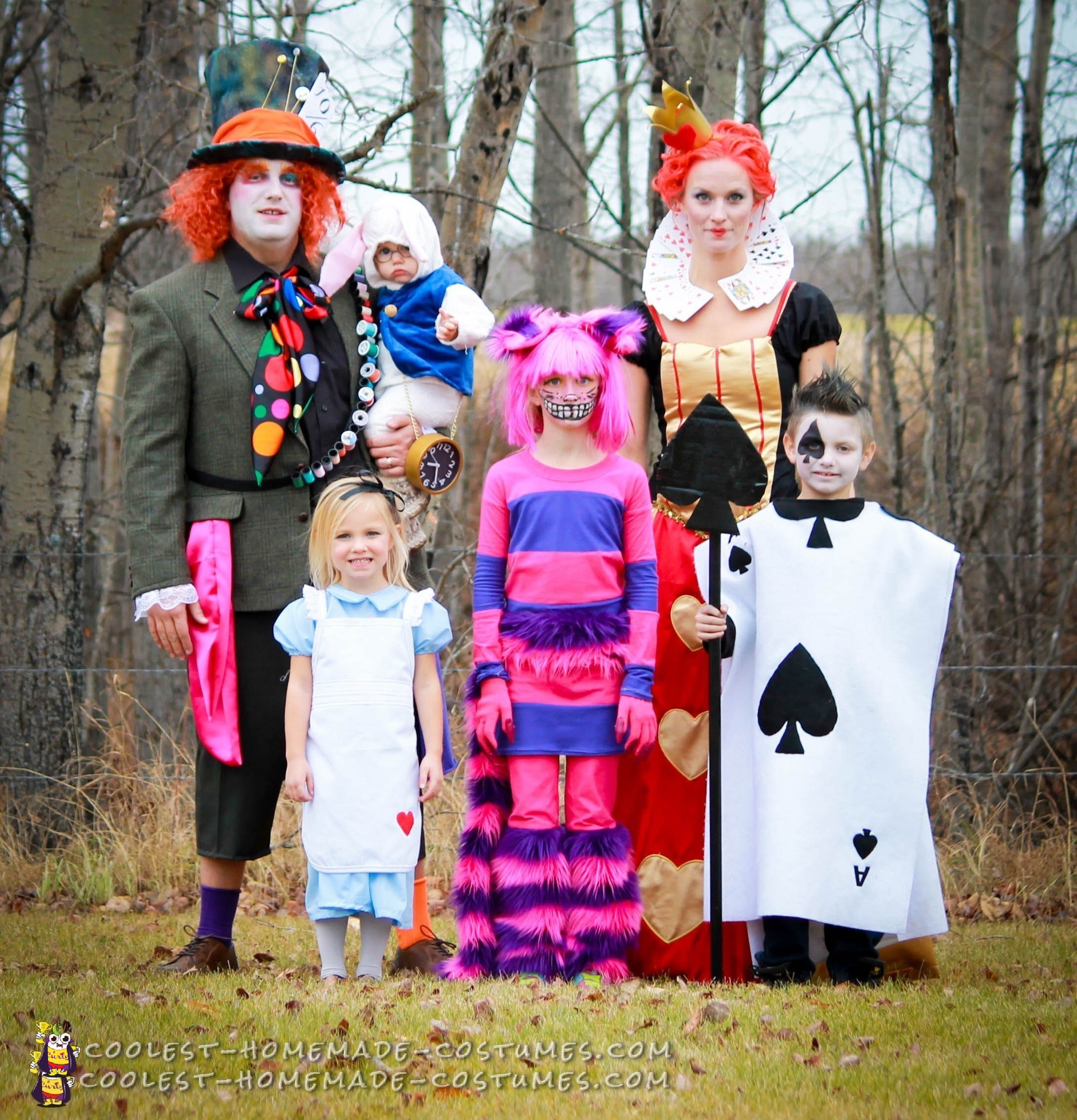 Alice in Wonderland Family Costumes