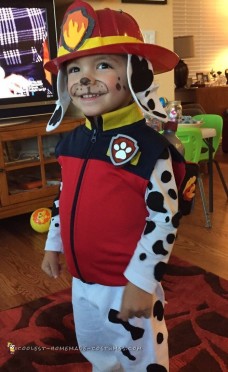 Cute DIY Paw Patrol Marshall Costume for Halloween