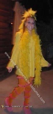 Coolest Big Bird Costume