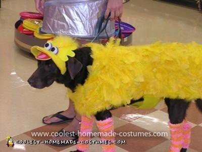 Coolest Big Bird Dog and Oscar the Grouch Handler Costume