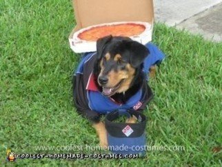 Homemade Dominos Deliver Dog Costume
