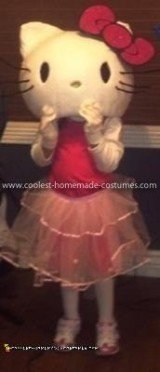 Coolest Homemade Hello Kitty Costumes