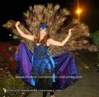 Coolest Home Made Peacock Costume