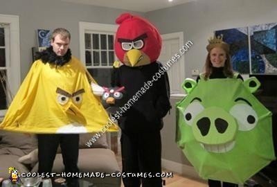 Coolest Homemade Angry Birds Halloween Group Costume