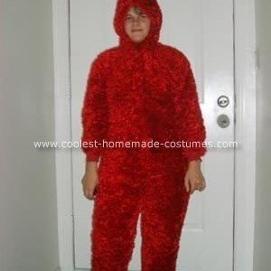 Cool Homemade Elmo Costume