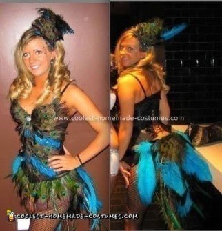 Cute Do-it-Yourself Peacock Costume