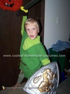 Coolest Link from Legend of Zelda Costume