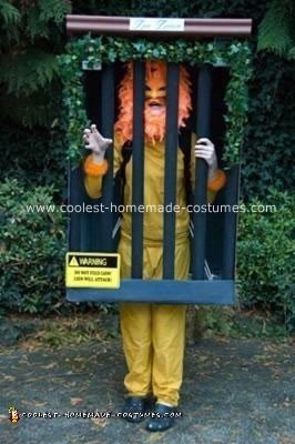 Homemade Lion in Cage Costume