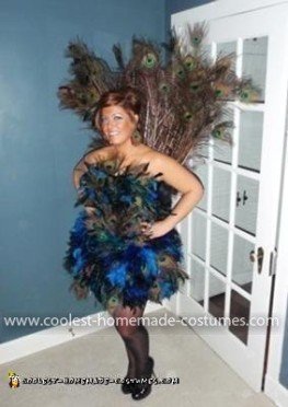 Fun DIY Peacock Costume