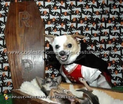 200+ Coolest DIY Pet Dog Halloween Costumes  Pet halloween costumes,  Halloween animals, Diy dog costumes