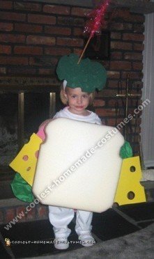 Turn Yourself into a Sandwich! One of the Coolest DIY Food Costumes