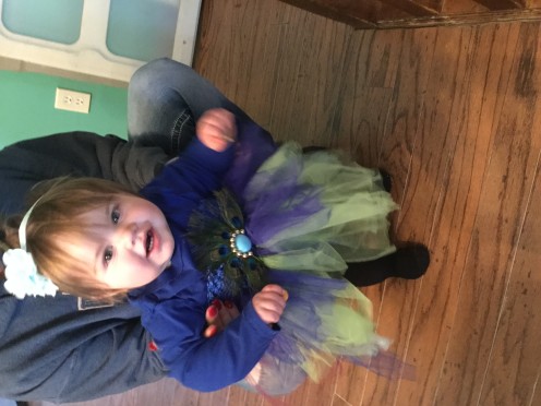 Sweet DIY Baby Peacock Costume