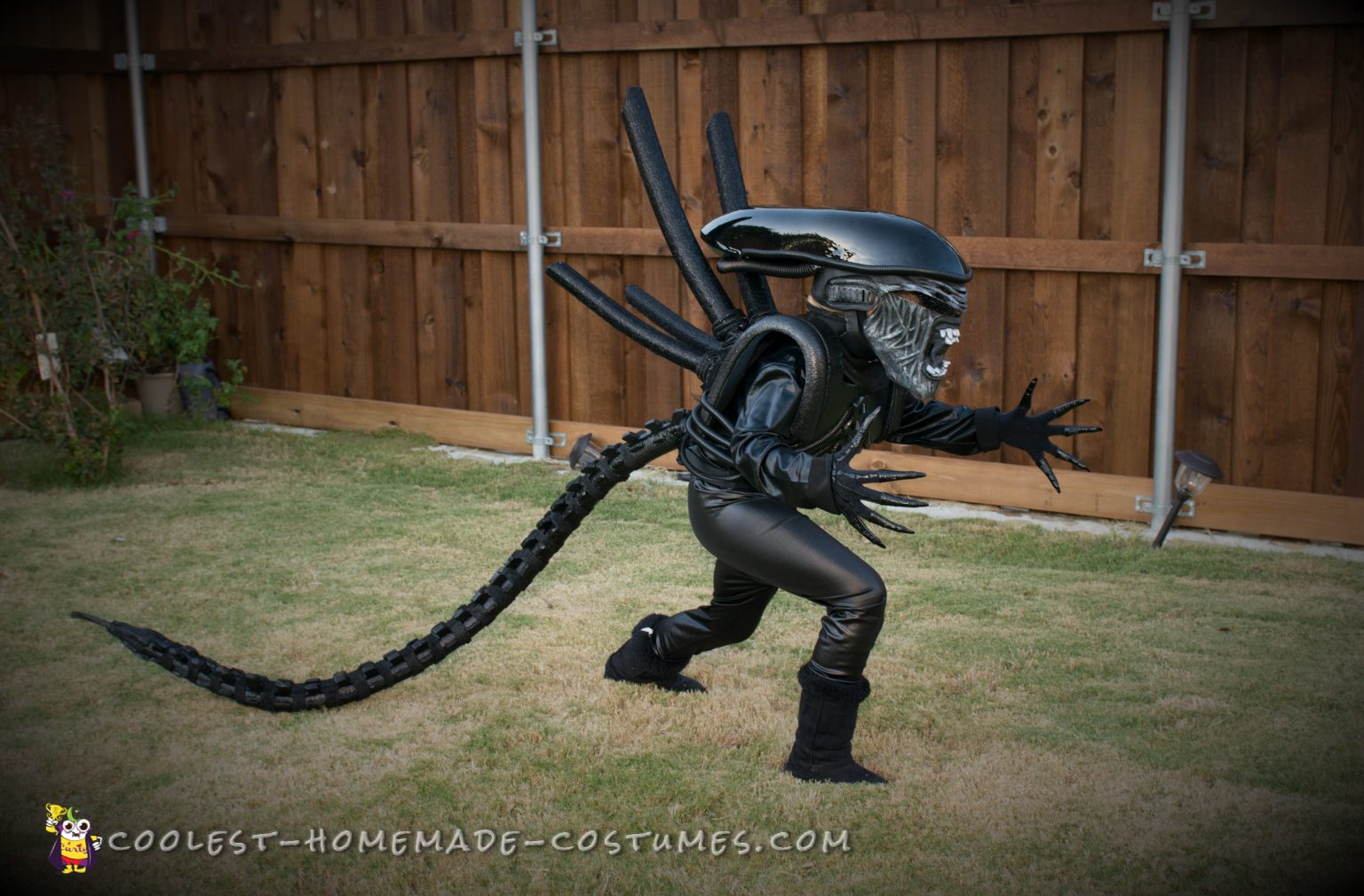 Awesome Homemade Alien Xenomorph Costume For Halloween