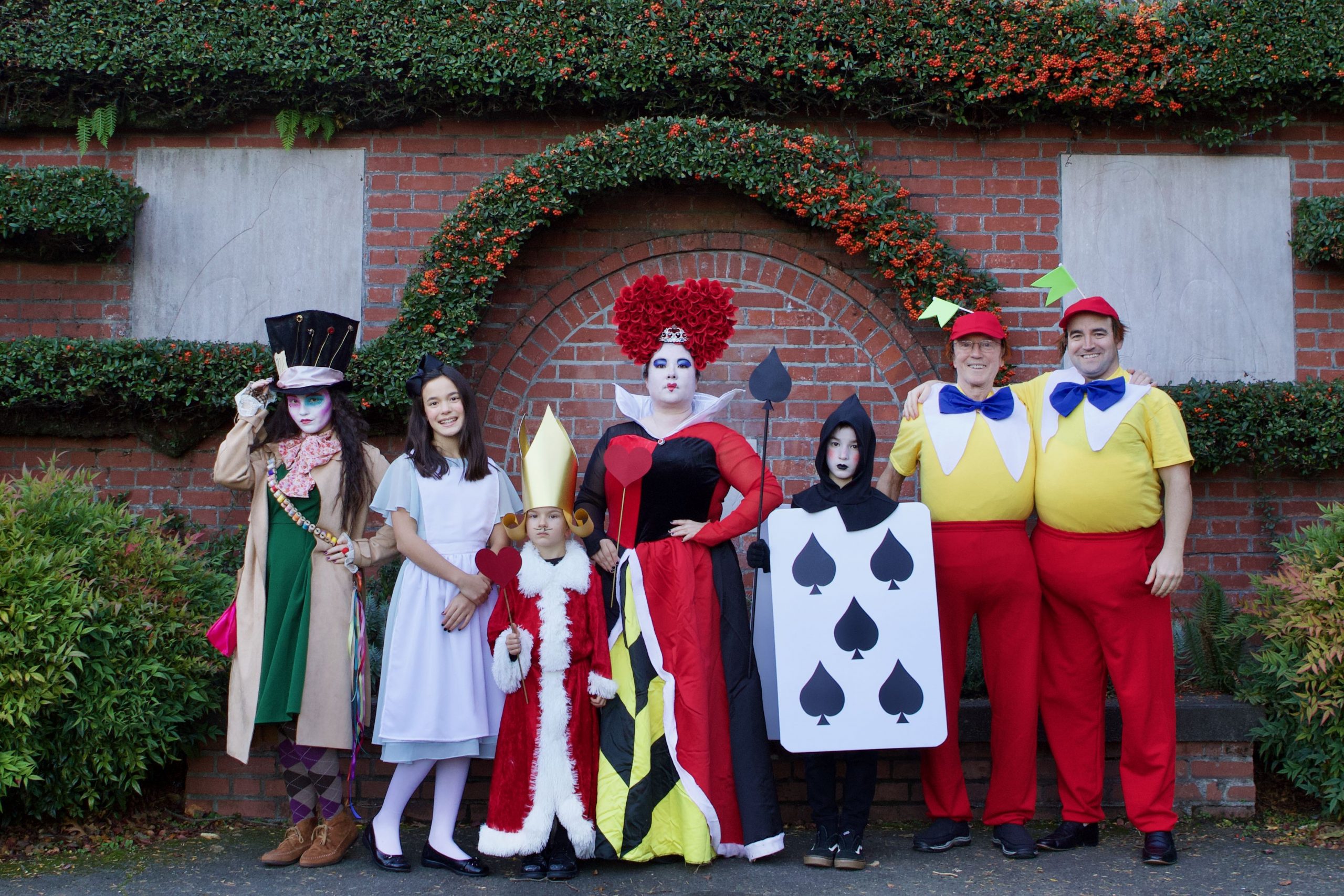 alice in wonderland character costumes