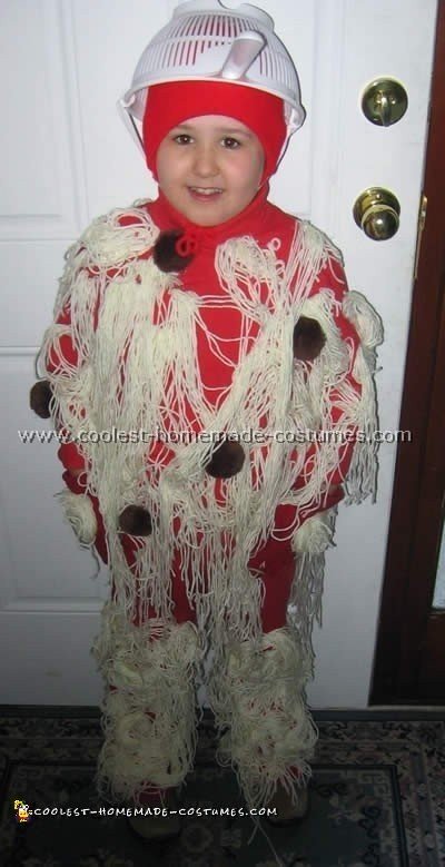 Cool Spaghetti and Meatballs Homemade Costume Ideas