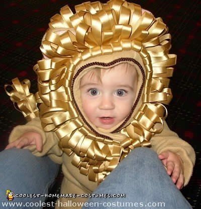 7 Coolest Homemade Lion Costume Ideas for Kids